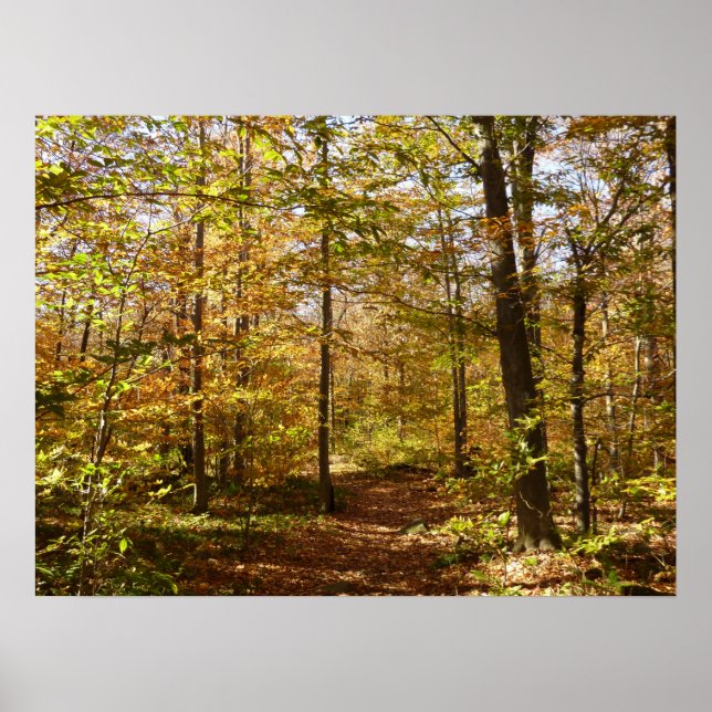 Wolf Rocks Trail im Herbst Pennsylvania Landschaft Poster (Vorne)