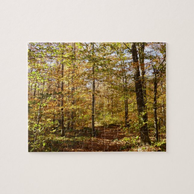Wolf Rocks Trail im Herbst Pennsylvania Landschaft Puzzle (Horizontal)