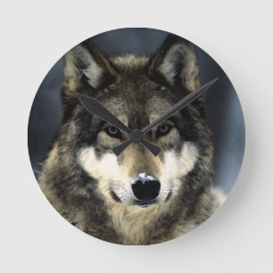 Wolf Runde Wanduhr