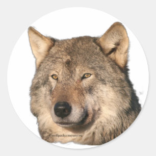 Wolf Runder Aufkleber