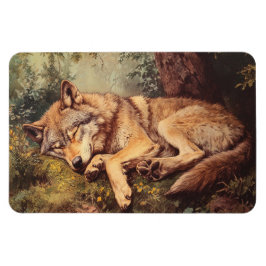 Wolf schläft im Wald Magnet