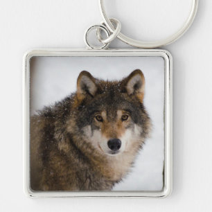 Wolf Schlüsselanhänger