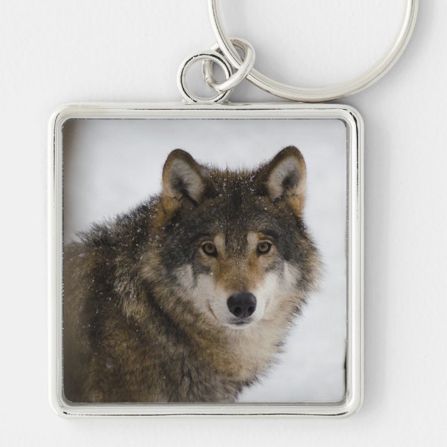 Wolf Schlüsselanhänger (Vorne)