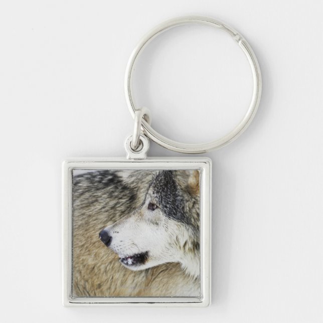 Wolf Schlüsselanhänger (Vorne)