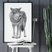 Wolf Schwarz-weiß Cabin Style Modernes Poster