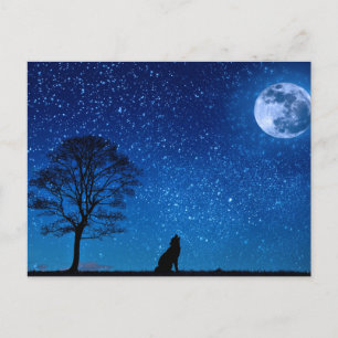 Wolf-Silhouette im Mond Postkarte