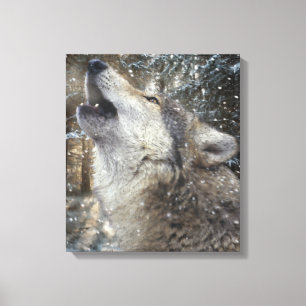 Wolf Song - Pastel Leinwanddruck
