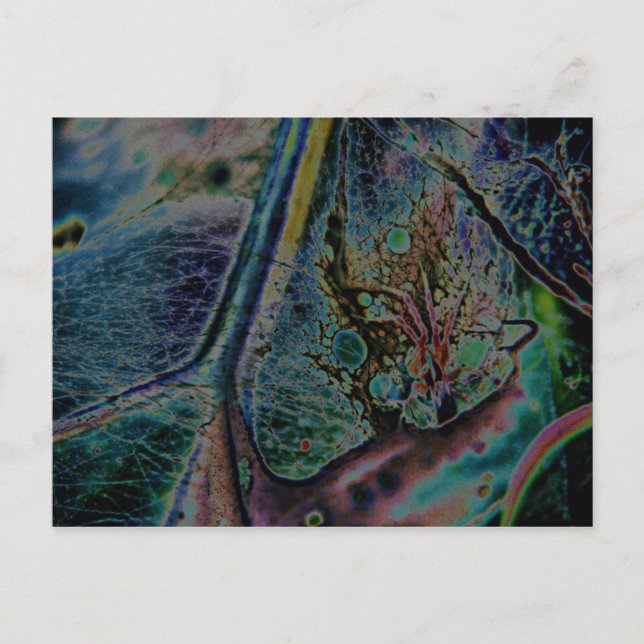 Wolf Spider Nebula Postkarte (Vorderseite)