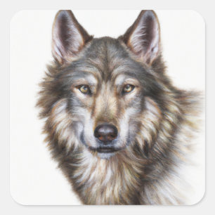 Wolf Square Sticker