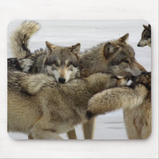 Wolf-Stapel Mousepad