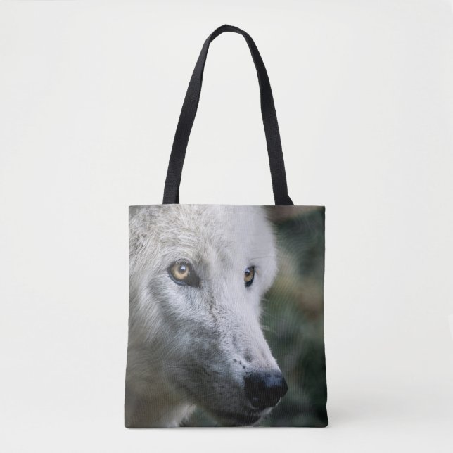 Wolf Stare (Vorderseite)