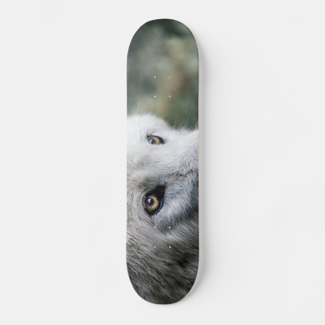 Wolf Stare Skateboard (Vorderseite)