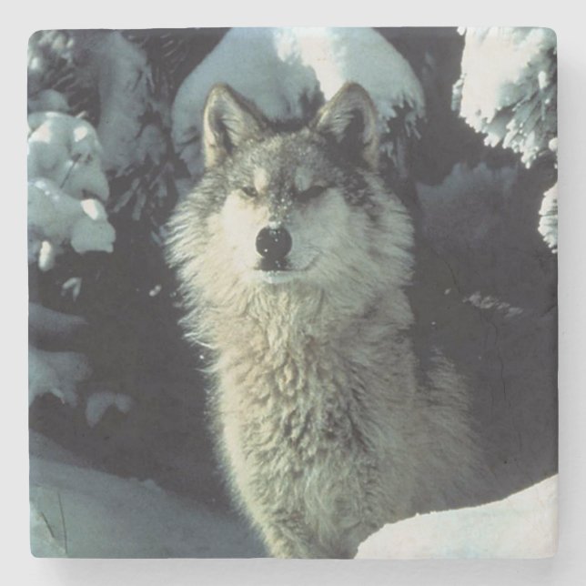 Wolf Steinuntersetzer (Vorderseite)