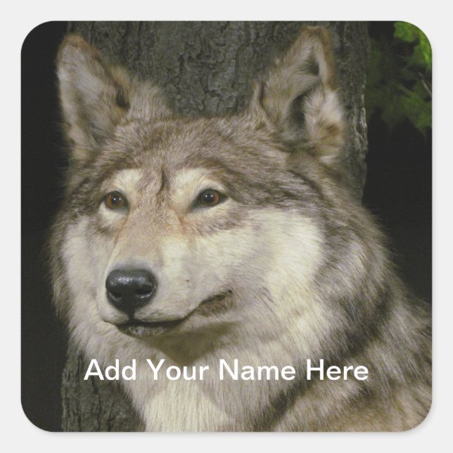 Wolf Sticker (Vorderseite)