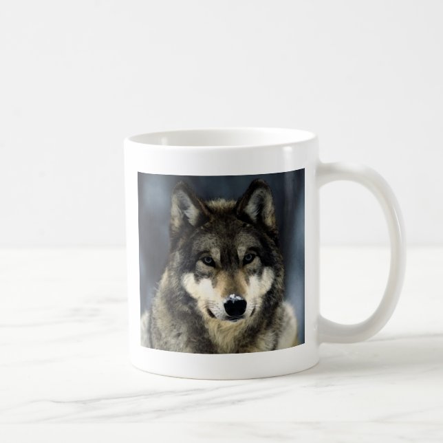 Wolf Tasse (Rechts)