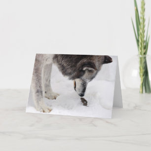 Wolf trifft Maus Karte