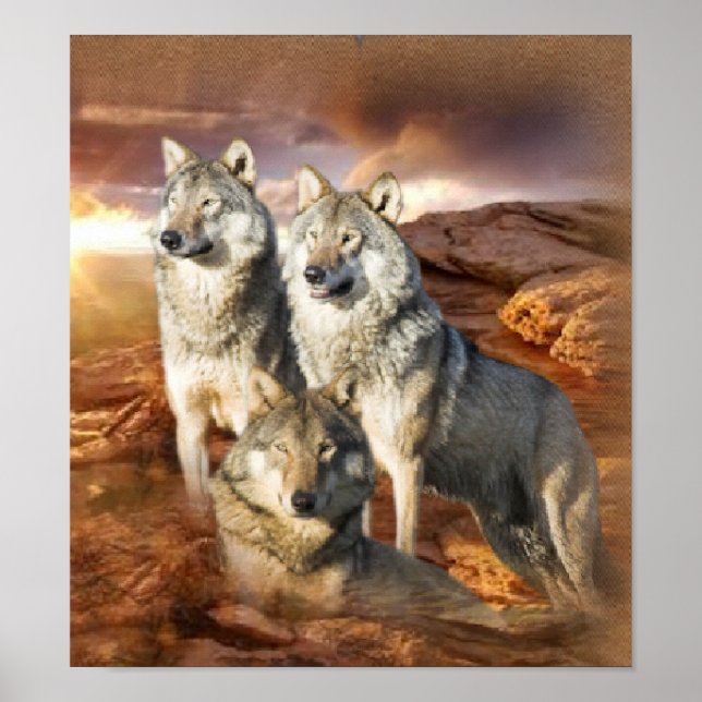 Wolf Trio Poster (Vorne)