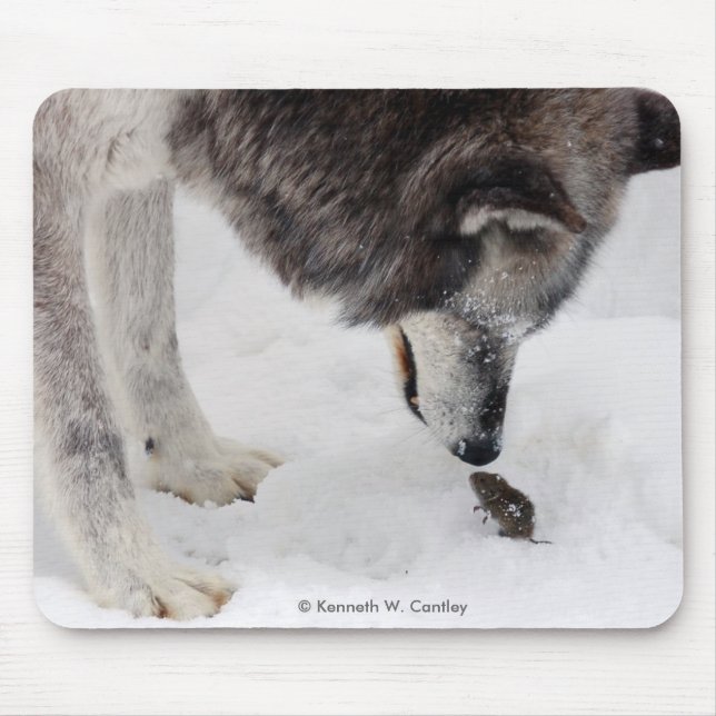 Wolf u. Maus Mousepad (Vorne)