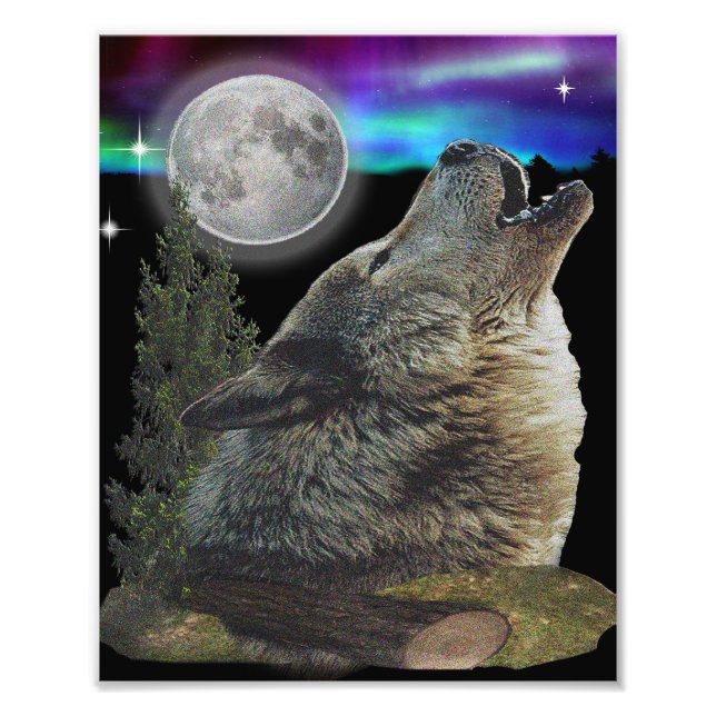 Wolf und Mond Fotodruck (Vorne)