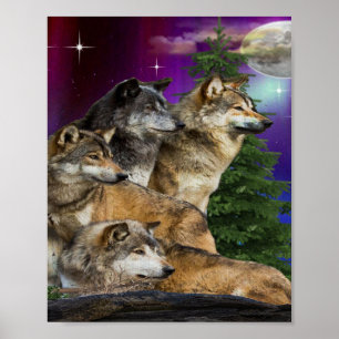 Wolf und Mond Poster