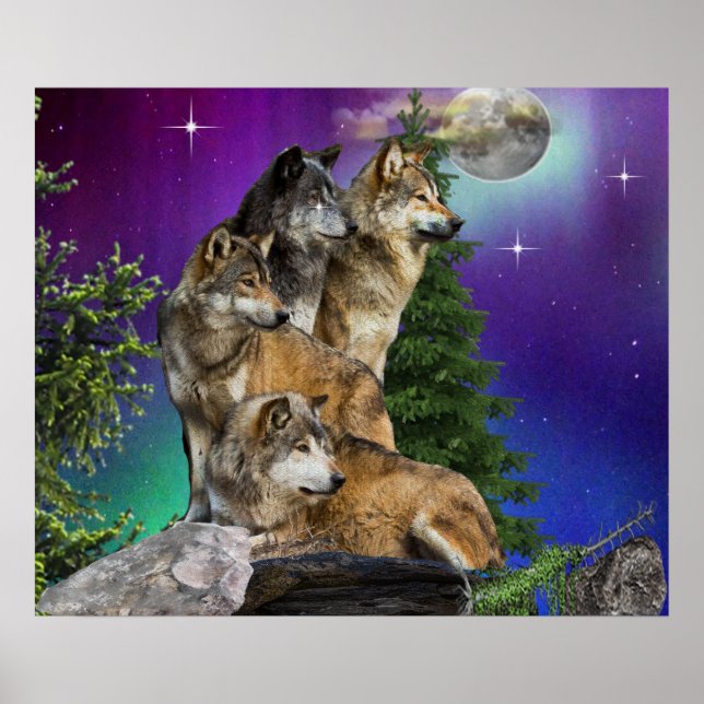Wolf und Mond Poster (Vorne)