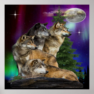 Wolf und Mond Poster