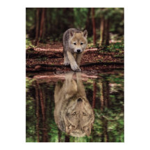 Wolf und Pup Water Reflection, Abstrakte Motivatio
