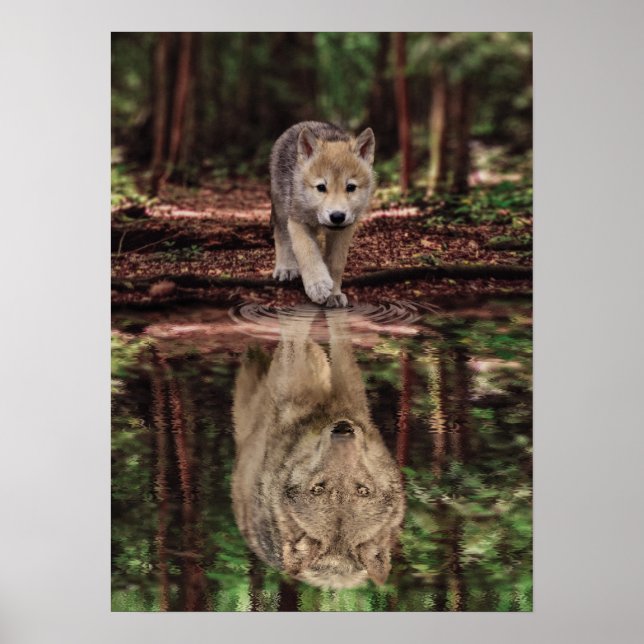 Wolf und Pup Water Reflection, Abstrakte Motivatio Poster (Vorne)