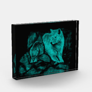 Wolf und Raven in der Nacht Fotoblock