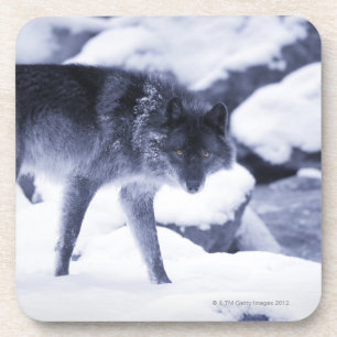 Wolf Untersetzer