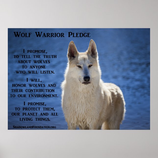 Wolf Warrior Poster (Vorne)