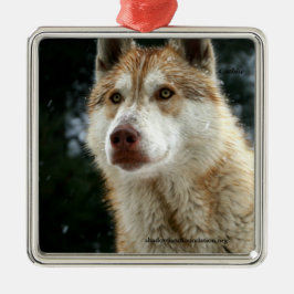 Wolf-Weihnachtsbaum-Verzierung Silbernes Ornament