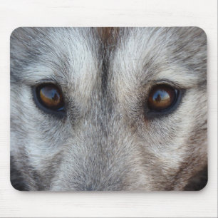 Wolf Welpe Mousepad Geschenke Kanadische Schlitten