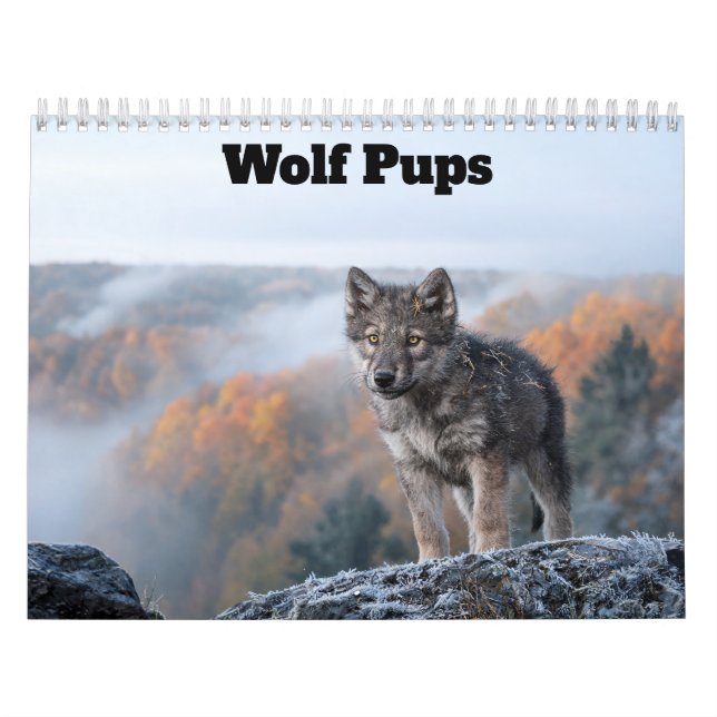 Wolf Welpen 2027 Kalender (Titelbild)