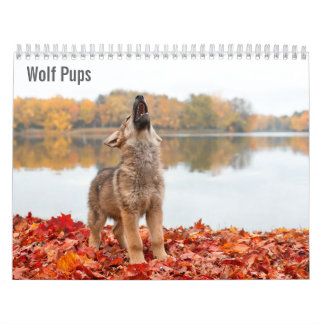 Wolf Welpen 2027 Kalender
