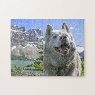 Wolf Wild Life Canada. Puzzle