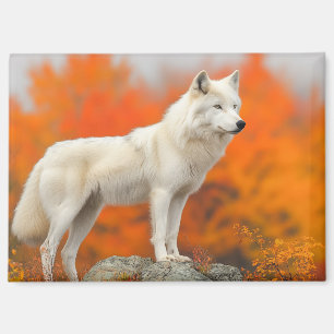 Wolf Wildtier Liebhaberporträt Magnet