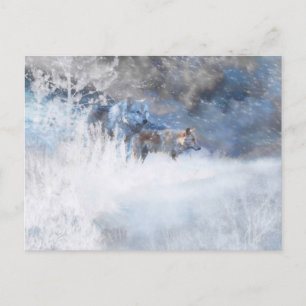 WOLF WINTERGEBIETE POSTKARTE