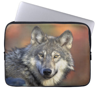 Wolf Wisdom Laptopschutzhülle