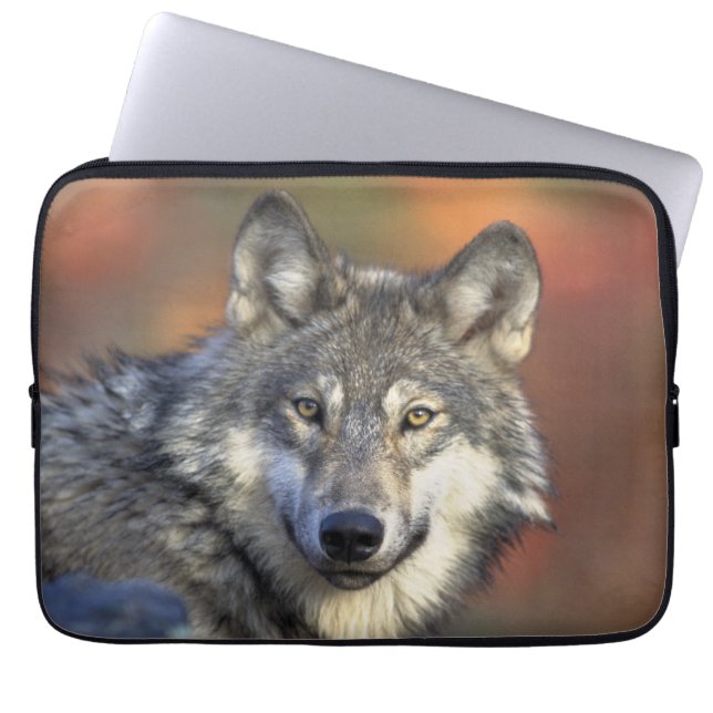 Wolf Wisdom Laptopschutzhülle (Vorderseite)