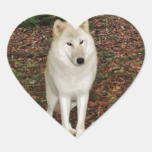 Wolf Wölfe Natur Park Land Tier Wildnis Wald Herz-Aufkleber