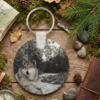 Wolf Woodland Tierwald