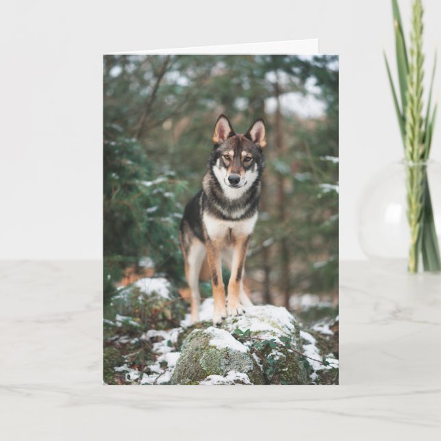 Wolfdog Dankeskarte (Vorderseite)