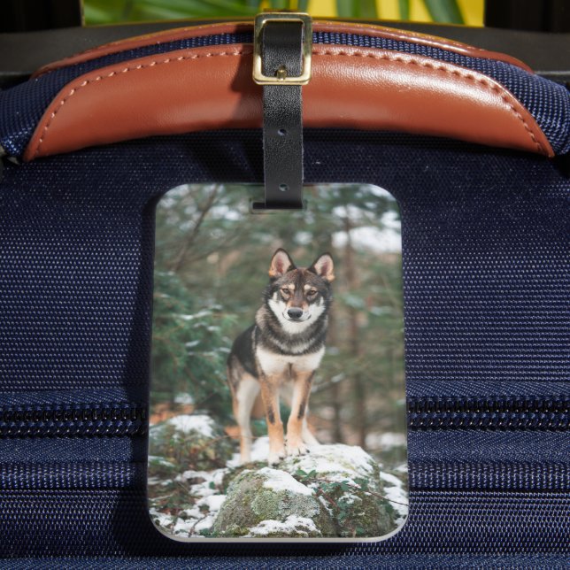 Wolfdog Luggage Tag Gepäckanhänger (Vorderseite Insitu 2)