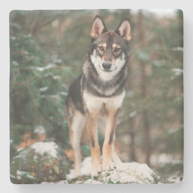 Wolfdog Stone Untersetzer (Vorderseite)