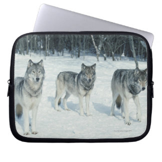 Wölfe am Rande des schneebedeckten Waldes Laptopschutzhülle