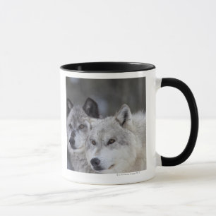 Wölfe (Canus Lupus) WestYellowstone Tasse