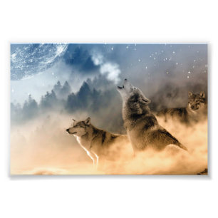 Wölfe Foto-Kunstprint Fotodruck