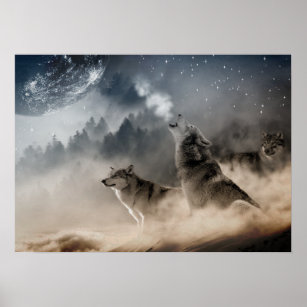 Wölfe heulen auf dem Vollmond Poster