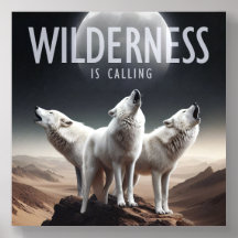 Wölfe Howling bei Vollmond Wilderness ruft